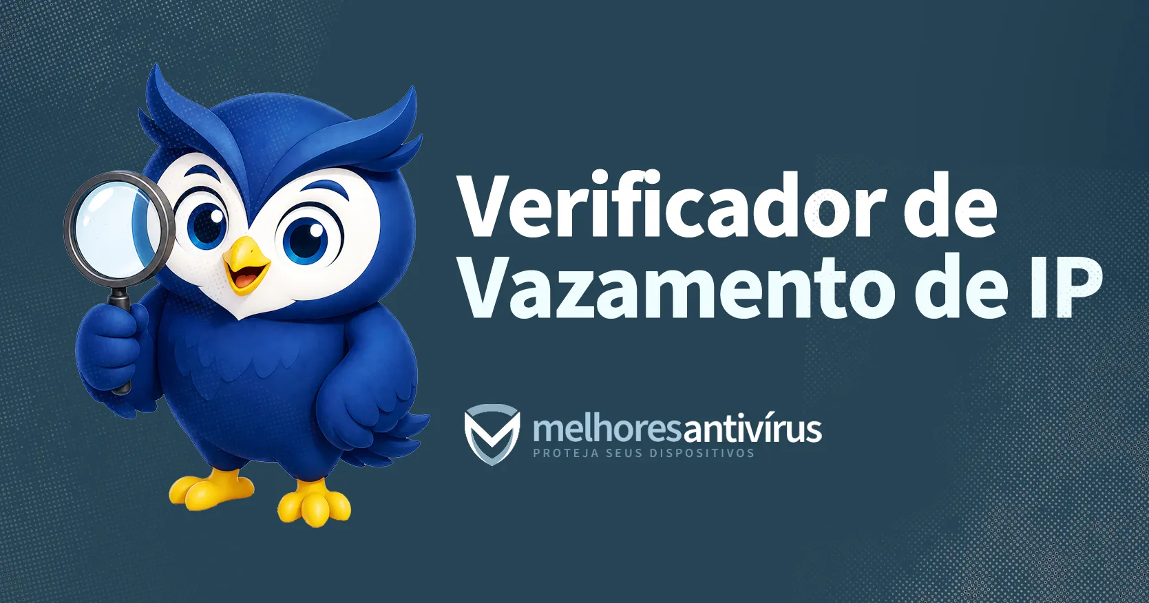 Verificador de Vazamento de IP Online